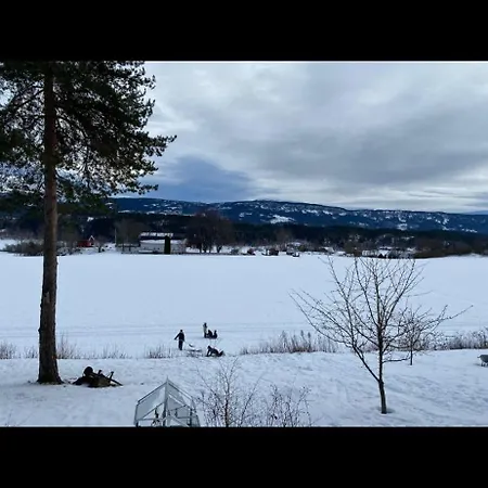 Holiday home Ringasen Berg (Ringerike)