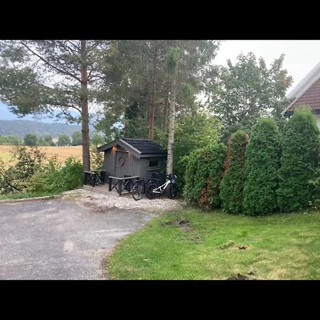 Ringasen *