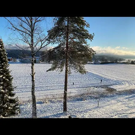 Ringasen Tatil Evi Berg (Ringerike)