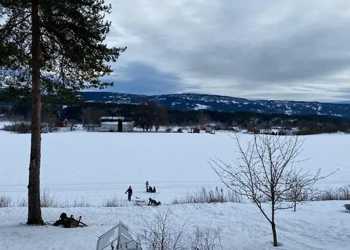 Holiday home Ringasen Berg (Ringerike)