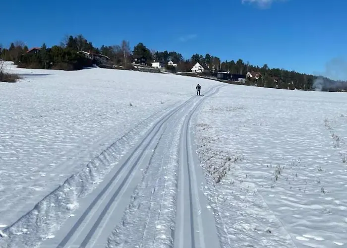 Ringasen * Berg (Ringerike)