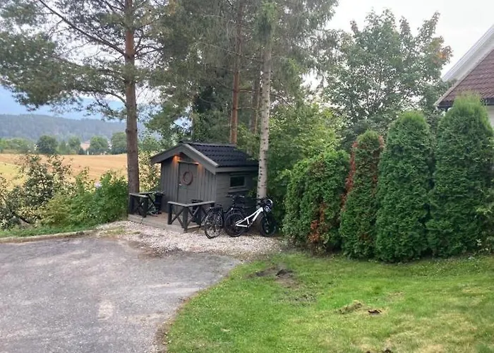 Ringasen *
