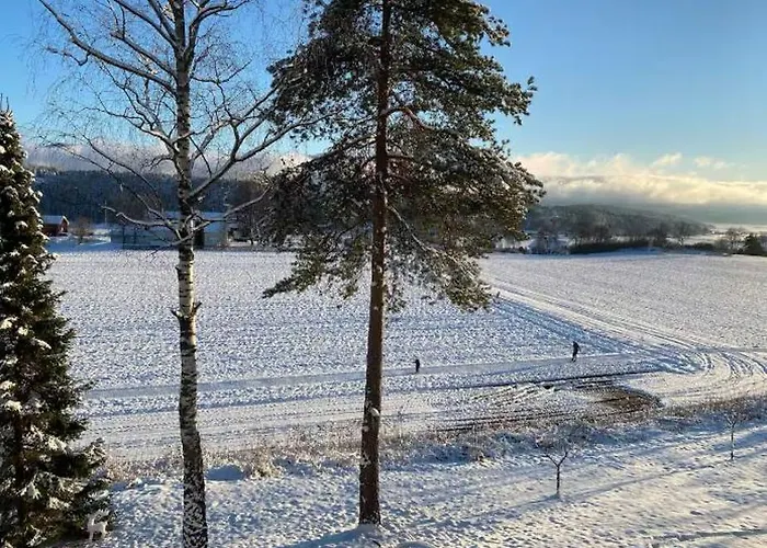 Ringasen Holiday home Berg (Ringerike)