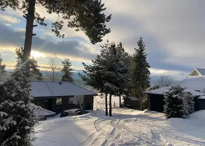 Ringasen * Berg (Ringerike)