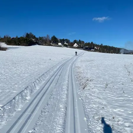 Ringasen * Berg (Ringerike)